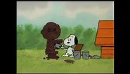 It's Magic Charlie Brown (1981): Snoopy tries to make Charlie Brown visible