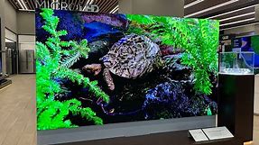 First look: Samsung's 110" microLED TV