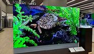First look: Samsung's 110" microLED TV