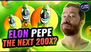 Elon Pepe Project Review 2023: $ELONPEPE 200x Incoming ?