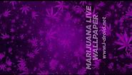 Marijuana Live Wallpaper Purple Blast