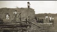 Life On A Midwestern Farm 1890 - 1910