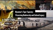 Myanmar's Tiger Tapestry - Preserving Biodiversity and Cultural Legacy