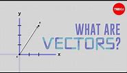 What is a vector? - David Huynh