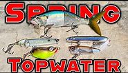 The Best Topwater Lures For Spring And Summer Bass Fishing!