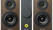 Sony CAS-1 Compact Audio System Review