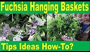 4 Keys to Fuchsia Hanging Baskets - Tips & examples for extended, colorful, vibrant fuchsia flowers