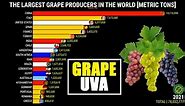 THE LARGEST GRAPES PRODUCERS IN THE WORLD 🍇