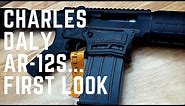 Charles Daly AR 12S First Look #AR12 #CharlesDaly #2AStrong
