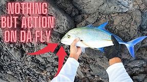 ACTION W/ FIYAH FLIES!! OMILUS AND MORE | Kauai, Hawaii|