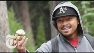 Matsutake Mushroom Hunting in Oregon - 2013 | The New York Times