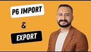 Advanced Primavera P6/Excel Import and Export