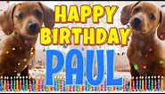 Happy Birthday Paul! ( Funny Talking Dogs ) What Is Free On My Birthday