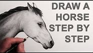 How to Draw a Horse Head: Narrated
