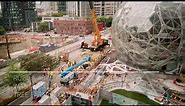 The Spheres' largest tree makes an entrance