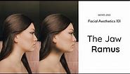 Why Your Jawline Never Looks Sharp | Facial Aesthetics 101 | The Jaw Ramus