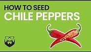 How to Cut & Seed Chile Peppers