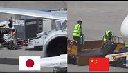 Airport Baggage Handlers around the World