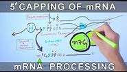 5 Prime Capping of mRNA | Eukaryotic mRNA Processing