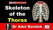 Skeleton of the Thorax, Sternum, Ribs & Vertebrae, Dr Adel Bondok