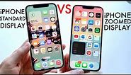 iPhone Display Standard Vs Display Zoomed (Larger Text)! (Which Should You Do?)