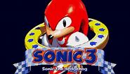 Sonic 3 Prototype - Knuckles Leftovers