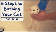 How to Bathe your Cat that Hates Water (6 Step Tutorial) | The Cat Butler