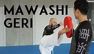 MAWASHI GERI - roundhouse kick - TEAM KI