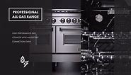 ZLINE Kitchen and Bath 30 in. 4 Burner Dual Fuel Range in Stainless Steel RA30