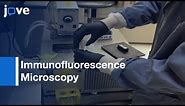 Immunofluorescence Microscopy of Brain Tissue | Protocol Preview