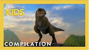 Dino Road Trip 🦖🚙 | 10 Minutes | Nat Geo Kids Compilation | @natgeokids