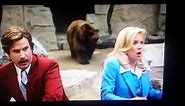 Channel 4 News Team vs. Bears 😊 Anchorman