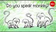 How to speak monkey: The language of cotton-top tamarins - Anne Savage