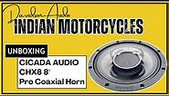 Cicada Audio CHX 8" Pro Coaxial Horn Speaker review