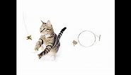 Cat Dancer Original Cat Teaser on a Wire Interactive Cat Toy