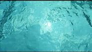 Water Background 4K 60FPS Blue Green Liquid Sea Reflection Motion Background Video Loop