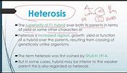 Heterosis and Theories of Heterosis