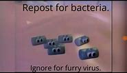 Repost for Bacteria. ignore and you will have Furry Virus.