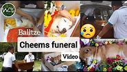 Balltze - Cheems Funeral Video | Meme king's funeral | RIP Cheems - Wild World TV