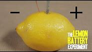 How to Make a Lemon Battery