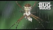 Assassin Bug Collection | MONSTER BUG WARS