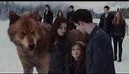 The Twilight Saga Breaking Dawn Part 2 - Official Blu-Ray Trailer (HD)