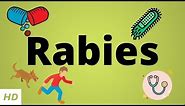 Rabies, Causes, SIgn and Symptoms, Diagnosis and Treatment.