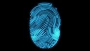 Digital Fingerprint Scan Animation