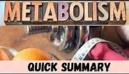 Ideal body weight vs Actual body weight and Metabolism during exercise. Overview