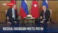 Turkey's president Erdogan meets Russia's Putin over hopes to revive grain deal