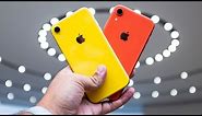 iPhone XR hands-on: Apple's new default iPhone