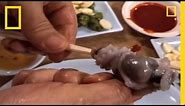 Would You Eat Live Octopus? | National Geographic