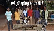 Bengal Monitor Lizard, who was 'Gang Raped' by these