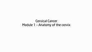 Cervical Cancer Module 1 - Anatomy of the cervix